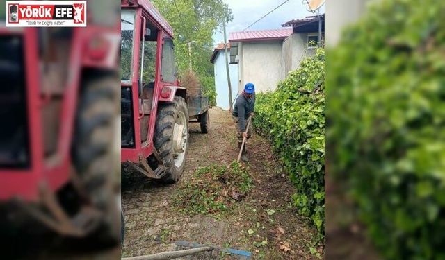 Karacasu Belediyesi’nden Kahvederesi Yaylası’nda temizlik mesaisi