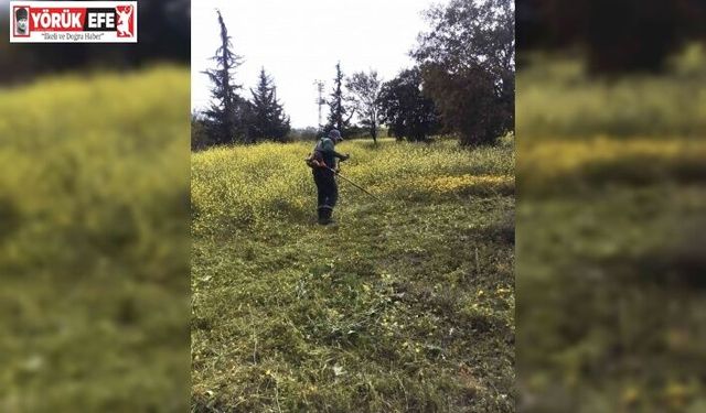 Karacasu Belediyesi’nden mezarlıklarda temizlik seferberliği