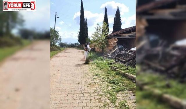 Karacasu Belediyesi’nden yeşil alanlarda yoğun mesai