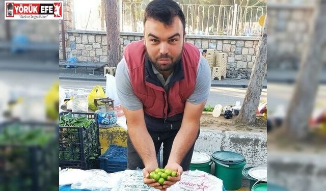 Vazgeçilmez yaz meyvesi erik tezgahlarda yerini aldı