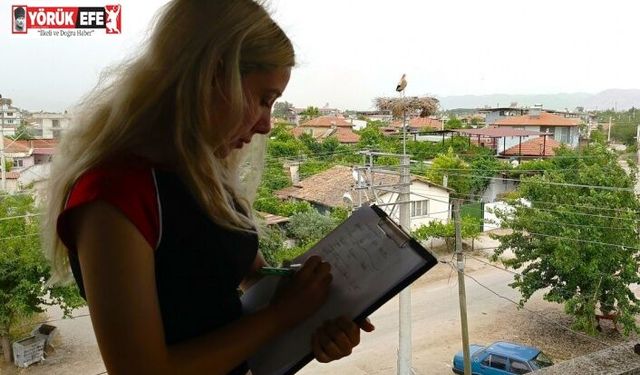 Aydın’da leylek sayımları tamamlandı