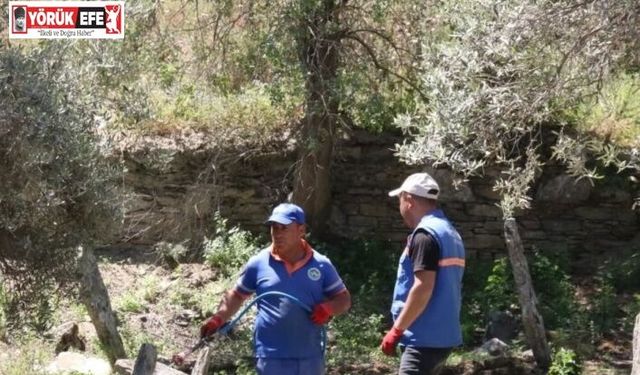 Direcik Mahallesi’nde belediye ekipleri iş başı yaptı