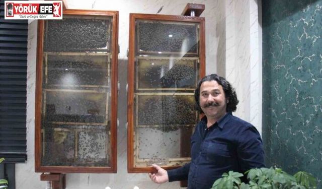 Fabrikasında 5 bin işçi ile ’bal’ gibi çalışıyor