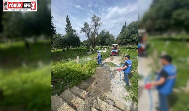 Hamzabali Mezarlığı bakıma alındı