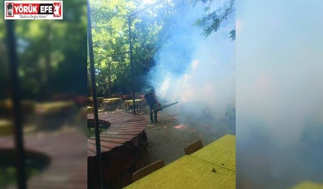 Karacasu’da sinek ve larva ilaçlaması yapıldı