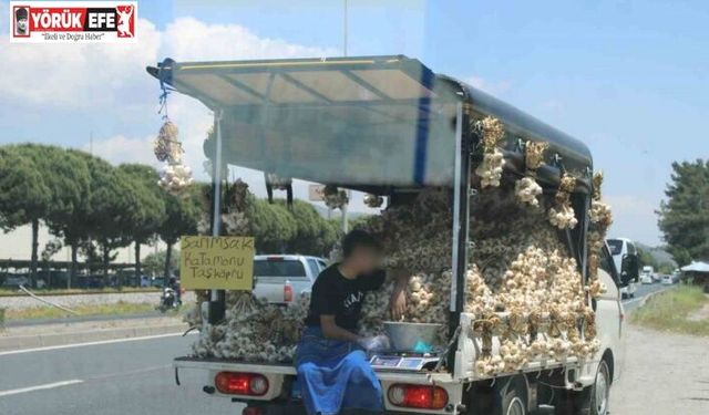 Sarımsak satıcısının tehlikeli yolculuğu