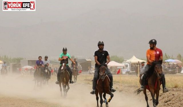 Yenipazar’da Geleneksel Rahvan Yarışları nefes kesti