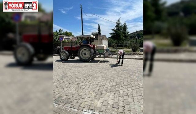 Yenipazar’da haşerelere karşı ortak mücadele