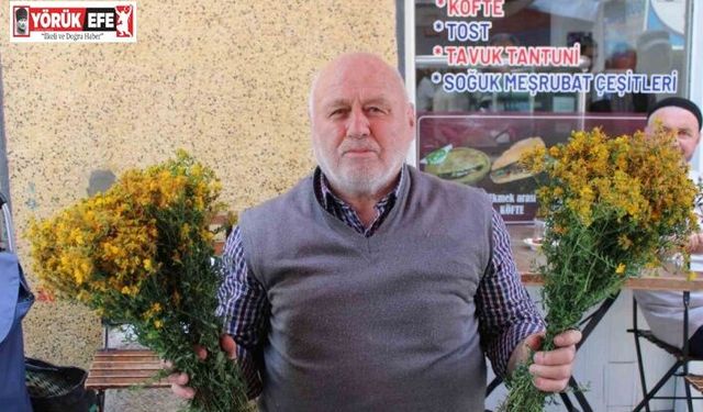 Bu çiçek hediye için değil sağlık için alınıyor