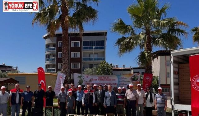 Buharkent’te domates fideleri üreticilere teslim edildi