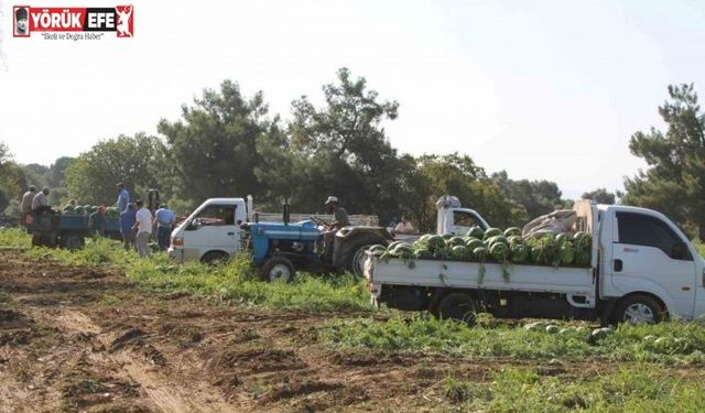 Çukurova’dan sonra Türkiye’nin gözü burada