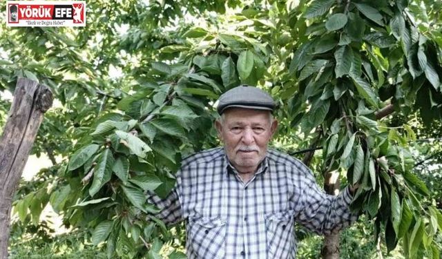 Ege bu yıl meyveye hasret