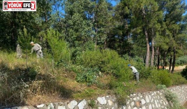 Karacasu Belediyesi’nden Dedebağ’da temizlik çalışması