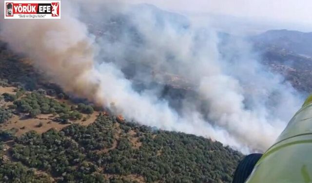 Karacasu Belediyesi’nden yangın uyarısı