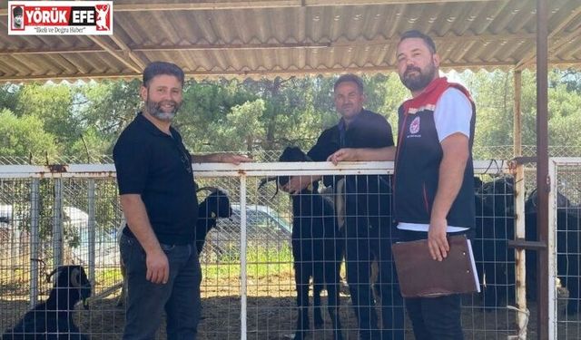 Karacasu’da kurban satış yerleri denetlendi