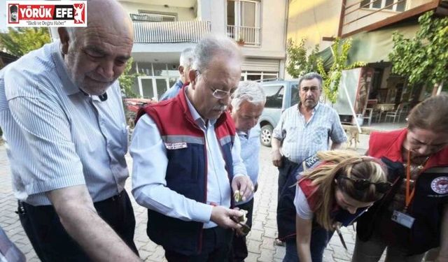 Karacasu’da üreticiye kaliteli ilek uyarısı