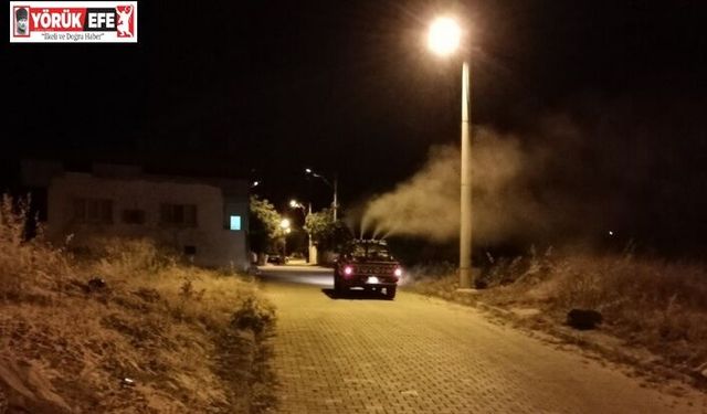 Karacasu’nun ’sinek timi’ işbaşında