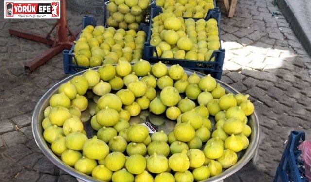 Aydın’ın inciri pazar tezgahlarında 250 liradan satışa sunuldu