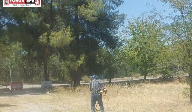 Dünyaca ünlü antik kentte kuru otlar temizlendi