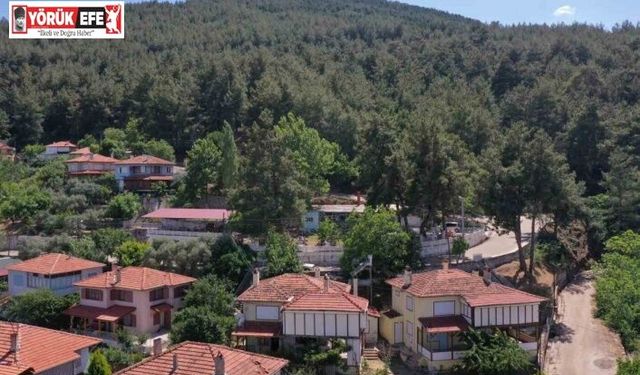 Karacasu Belediyesi’nden yangın uyarısı: "Bir kıvılcım, bir felakete sebep olabilir"