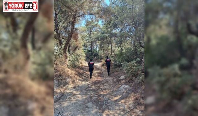 Ormanlar hem karadan hem havadan korunuyor