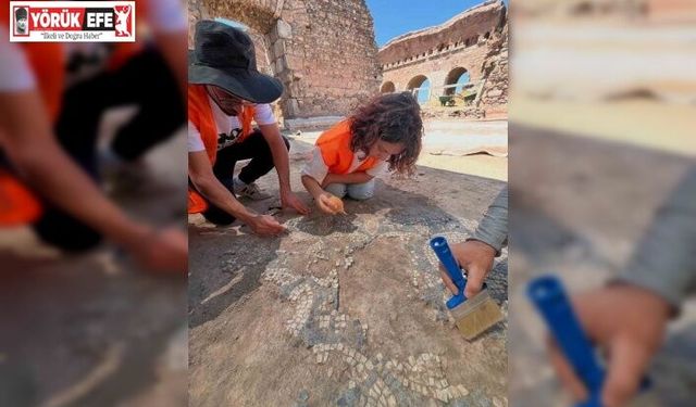 Tralleis’te çalışmalar mozaik havuzunda yoğunlaştırıldı