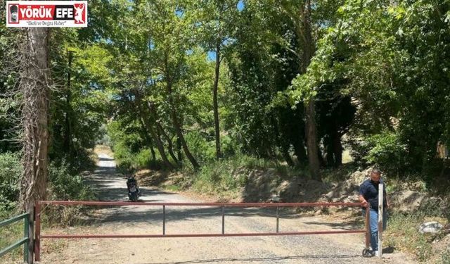 Yangınlara karşı ormanı demir kapı ile kapattılar