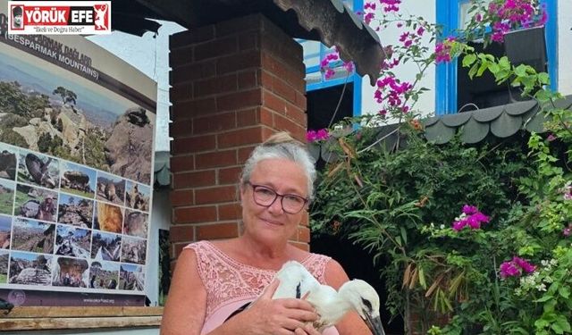 Yavru Leylek EKODOSD’da bakıma alındı, göç için hazırlanıyor