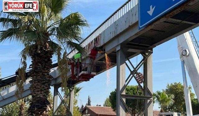 Başkan Kaya talep etti, atıl üst geçit kaldırılıyor