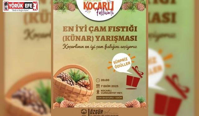 Koçarlı’da çam fıstığının en iyisi seçilecek