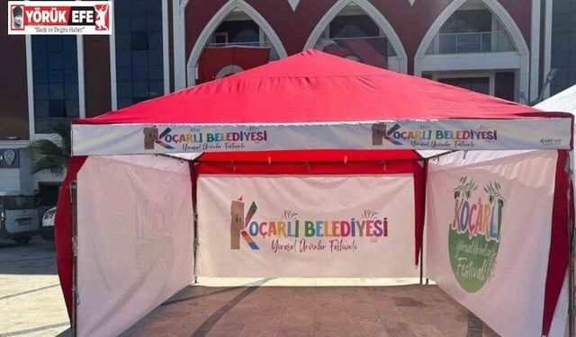 Koçarlı’da festival heyecanı yaşanacak