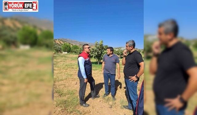 Köşk’te tarımsal zararlılarla mücadele için sahaya indiler