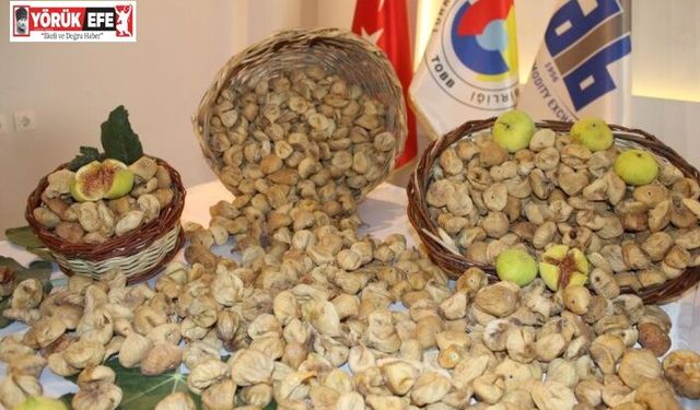 "Kuru incir ihracatında, üretici üzerine kirli oyun iddiası"