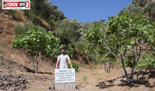 Mezar taşı değil, ‘herkes yesin’ uyarısı