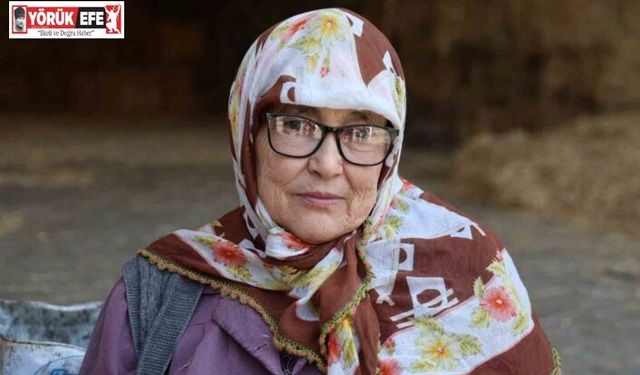 Dursun nine doktor tavsiyesi ile çalışıyor