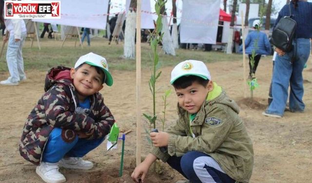 Aydın’da 7 bin fidan toprakla buluştu