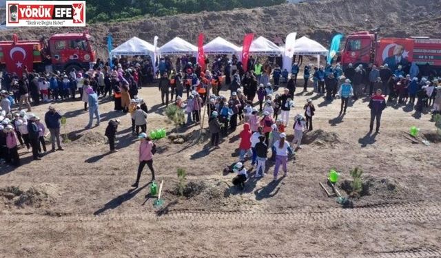 Aydın’da yarın binlerce fidan toprakla buluşacak