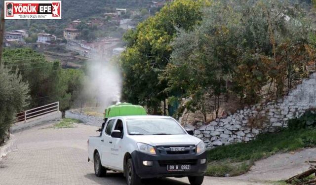 Bozdoğan’da karasinekle mücadele