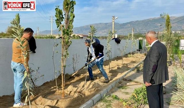 Sultanhisar’da can dostları için yeşil dokunuş