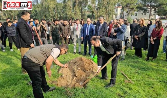 Sultanhisar’da fidanlar toprakla buluştu