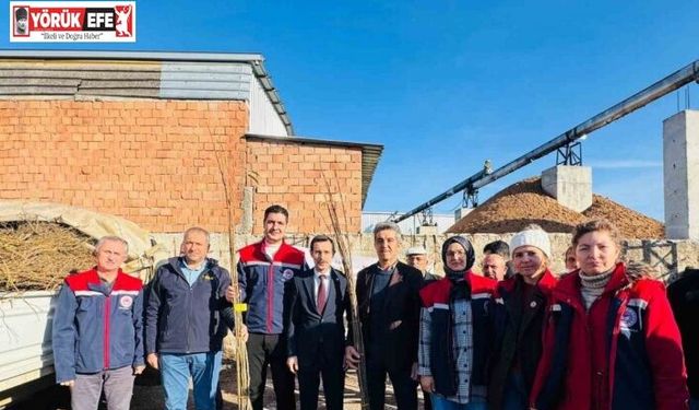 Bozdoğan’da 8 bin 700 adet fidan dağıtıldı