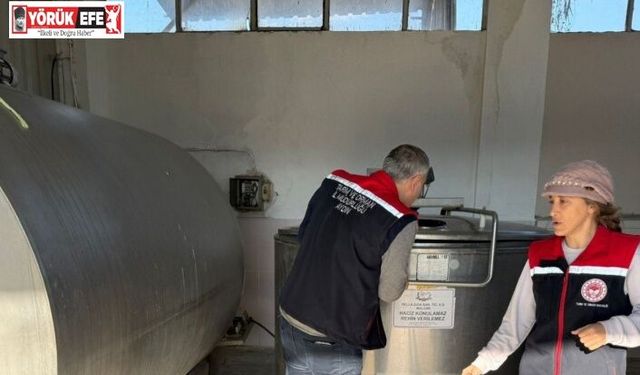 Buharkent’te işletmelere sıkı denetim