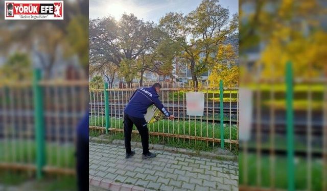 Germencik’te izinsiz afişlere zabıta müdahalesi