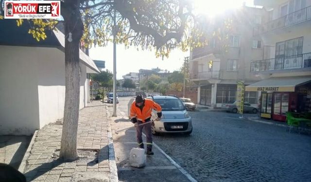 Germencik’te kireçleme ve ağaç budama çalışması