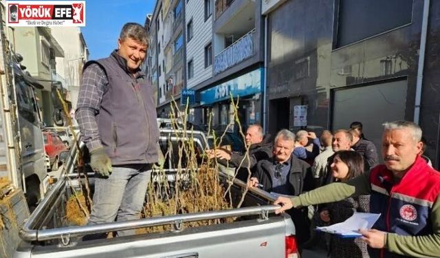 Germencik’te üreticiye 4 bin sertifikalı fidan desteği