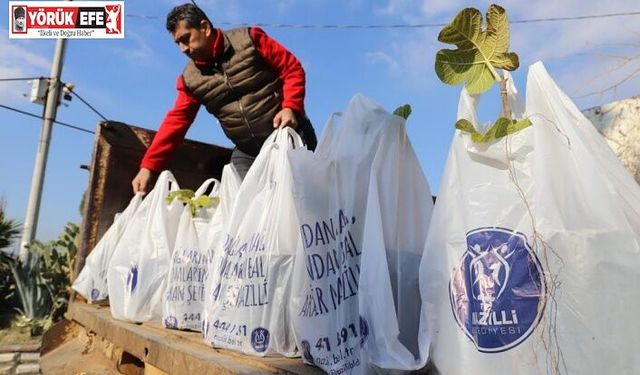 Nazilli Belediyesi'nin dağıttığı binlerce ağaç fidanı kısa sürede tükendi