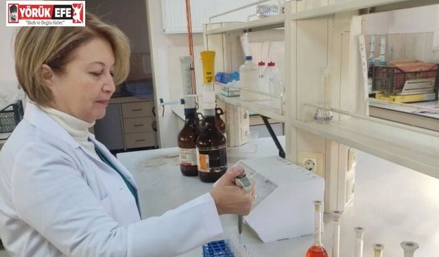 Aydın tarımında 2025 bilançosu açıklandı