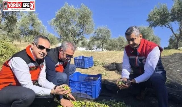 Aydın’da bir yılda 3 bini aşkın tarımsal denetim yapıldı