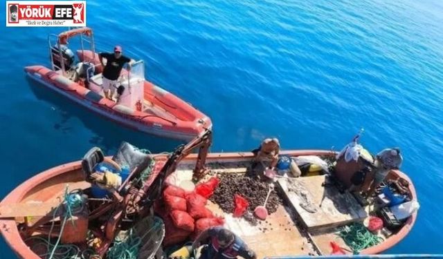 Aydın’da yasa dışı avcılığa geçit verilmiyor: "Bir yılda 5 bin denetim yapıldı"