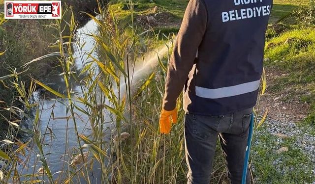 DİDİM’DE HALK SAĞLIĞI İÇİN VEKTÖRLERE KARŞI ETKİN MÜCADELE